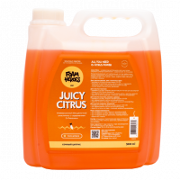 Juicy Citrus универсальный органический очиститель, 3 л